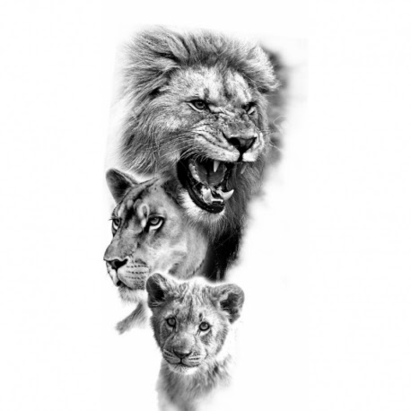 Husa Personalizata REALME 7 Pro Lion Family