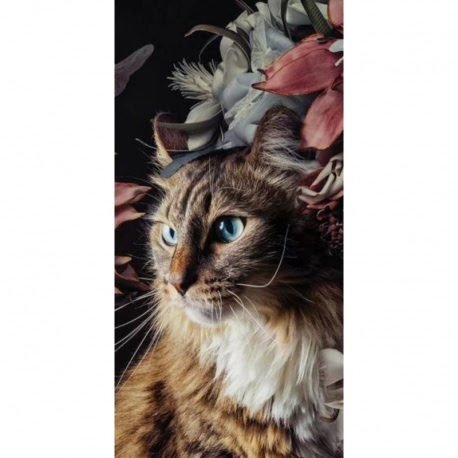 Husa Personalizata SAMSUNG Galaxy A8 Plus 2018 Pisica