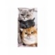 Husa Personalizata SAMSUNG Galaxy XCover 4 Lazy Cats