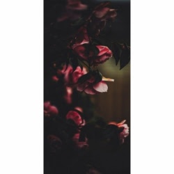 Husa Personalizata SAMSUNG Galaxy Note 8 Roses
