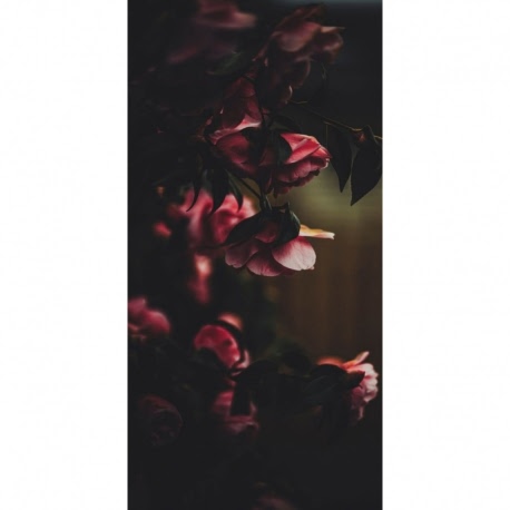 Husa Personalizata SAMSUNG Galaxy A8 Plus 2018 Roses