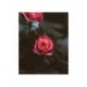 Husa Personalizata SAMSUNG Galaxy A80 \ A90 Red Roses
