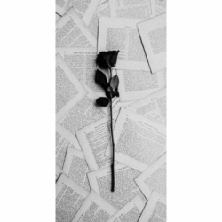 Husa Personalizata MOTOROLA One Macro Black Rose