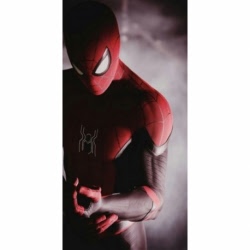 Husa Personalizata HUAWEI P8 Lite 2017 \ P9 Lite 2017 Spiderman