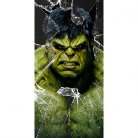 Husa Personalizata NOKIA Plus (X6) Hulk