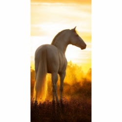 Husa Personalizata SAMSUNG Galaxy S6 Edge White Horse