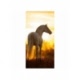 Husa Personalizata APPLE iPhone 12 \ 12 Pro White Horse