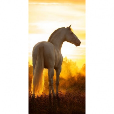 Husa Personalizata LG G8s ThinQ White Horse