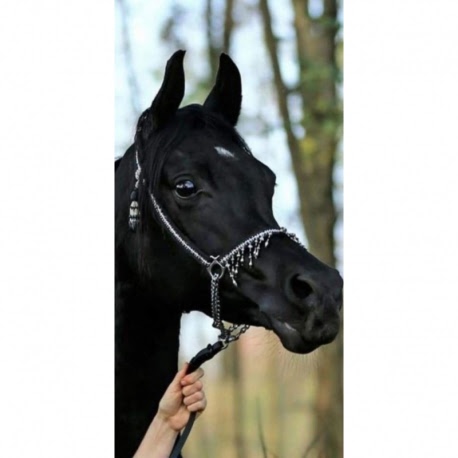 Husa Personalizata NOKIA 1 Black Horse