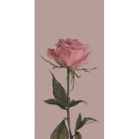 Husa Personalizata APPLE iPhone 12 \ 12 Pro Pink Rose