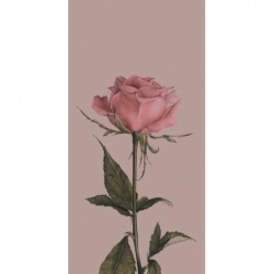 Husa Personalizata ALLVIEW A6 Quad Pink Rose