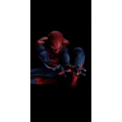 Husa Personalizata SAMSUNG Galaxy A2 Core Spiderman 2