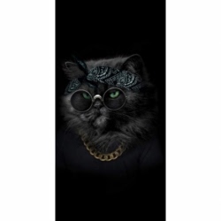 Husa Personalizata SAMSUNG Galaxy J4 Plus 2018 Hippy cat