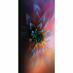 Husa Personalizata SAMSUNG Galaxy A6S Flower