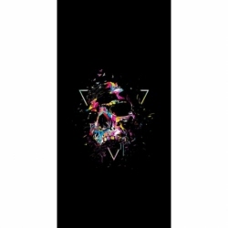 Husa Personalizata SAMSUNG Galaxy J4 Plus 2018 Craniu Colorat