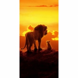 Husa Personalizata ALLVIEW V2 Viper Lion King