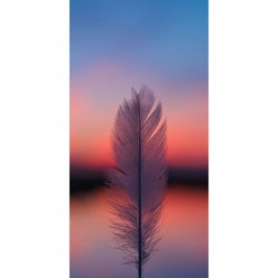 Husa Personalizata SAMSUNG Galaxy A80 \ A90 Feather