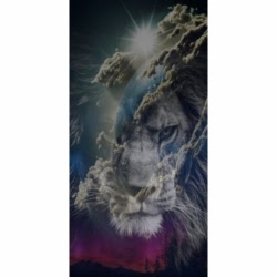 Husa Personalizata SAMSUNG Galaxy J4 Plus 2018 Lions Planet