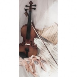 Husa Personalizata MOTOROLA Moto E6 Play Violin