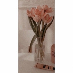 Husa Personalizata ASUS ZenFone 4 Selfie ZD553KL Tulips