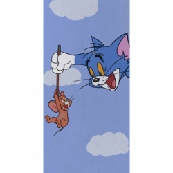 Husa Personalizata ALLVIEW A5 Duo Tom and Jerry 1