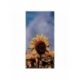 Husa Personalizata ALLVIEW V2 Viper Sunflower 1