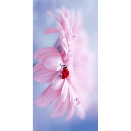 Husa Personalizata SAMSUNG Galaxy A80 \ A90 Ladybug