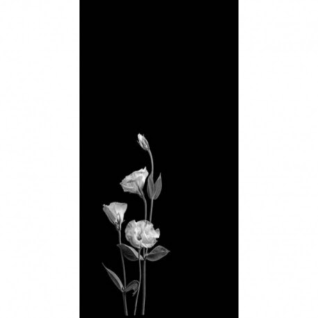 Husa Personalizata SONY Xperia XZ2 White Flowers 1