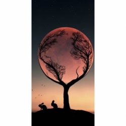 Husa Personalizata OPPO A72 5G Embracing the moon