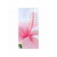 Husa Personalizata XIAOMI Mi Note 3 Pink