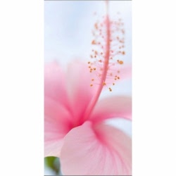 Husa Personalizata ASUS ZenFone Live (L1) ZA550KL Pink