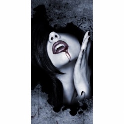 Husa Personalizata SONY Xperia XZ2 Premium Vampire Girl