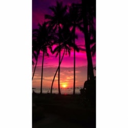 Husa Personalizata SAMSUNG Galaxy A8 Plus 2018 Palm Beach