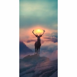 Husa Personalizata SAMSUNG Galaxy J4 2018 Deer 1