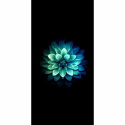 Husa Personalizata SAMSUNG Galaxy A9 2018 Chrysanthemum