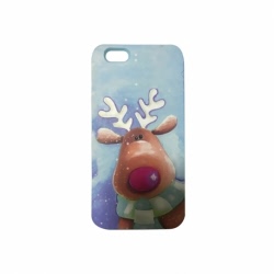 Husa HUAWEI P8 Lite 2017 \ P9 Lite 2017 - Red Nose