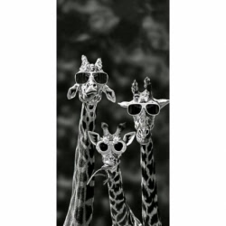 Husa Personalizata NOKIA 5.3 Giraffes