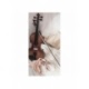 Husa Personalizata MOTOROLA Moto G100 \ Edge S Violin