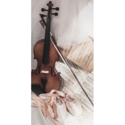Husa Personalizata XIAOMI Mi 11i \ Poco F3 \ Poco F3 Pro Violin