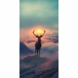 Husa Personalizata SAMSUNG Galaxy A72 (4G) Deer 1