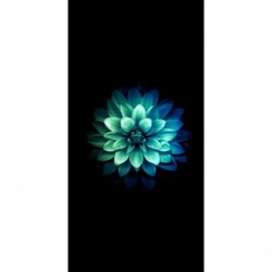 Husa Personalizata XIAOMI Mi 11 Lite (4G) \ Mi 11 Lite (5G) Chrysanthemum