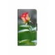 Husa personalizata tip carte HQPrint pentru Apple iPhone 7 Plus, model Flowers 13, multicolor, S1D1M0206