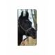 Husa personalizata tip carte HQPrint pentru Oppo A57, model Black Horse, multicolor, S1D1M0019