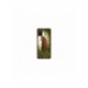 Husa personalizata tip carcasa HQPrint pentru Samsung Galaxy A03S, model Bear, multicolor, S1D1M0312