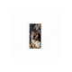 Husa personalizata tip carcasa HQPrint pentru Samsung Galaxy A72, model Cat 1, multicolor, S1D1M0143