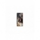 Husa personalizata tip carcasa HQPrint pentru Samsung Galaxy A51, model Cat 1, multicolor, S1D1M0143